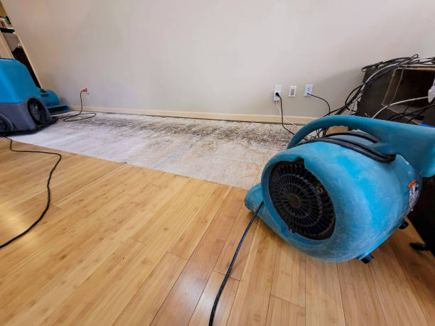 Professional Water Damage Repair technician working in Graton, CA